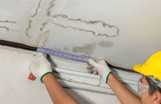 Reliable Mold Remediation contractor in Goffstown, NH by Water Damage Irwin
